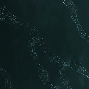 OLQ-2307 Kara Dark Green